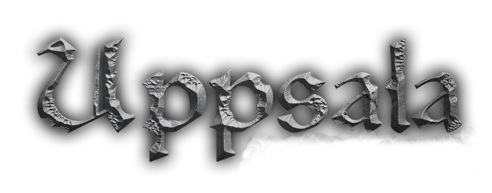 Uppsala - Społeczność graczy i serwery gier